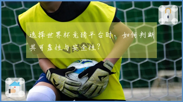 选择世界杯竞猜平台时，如何判断其可靠性与安全性？